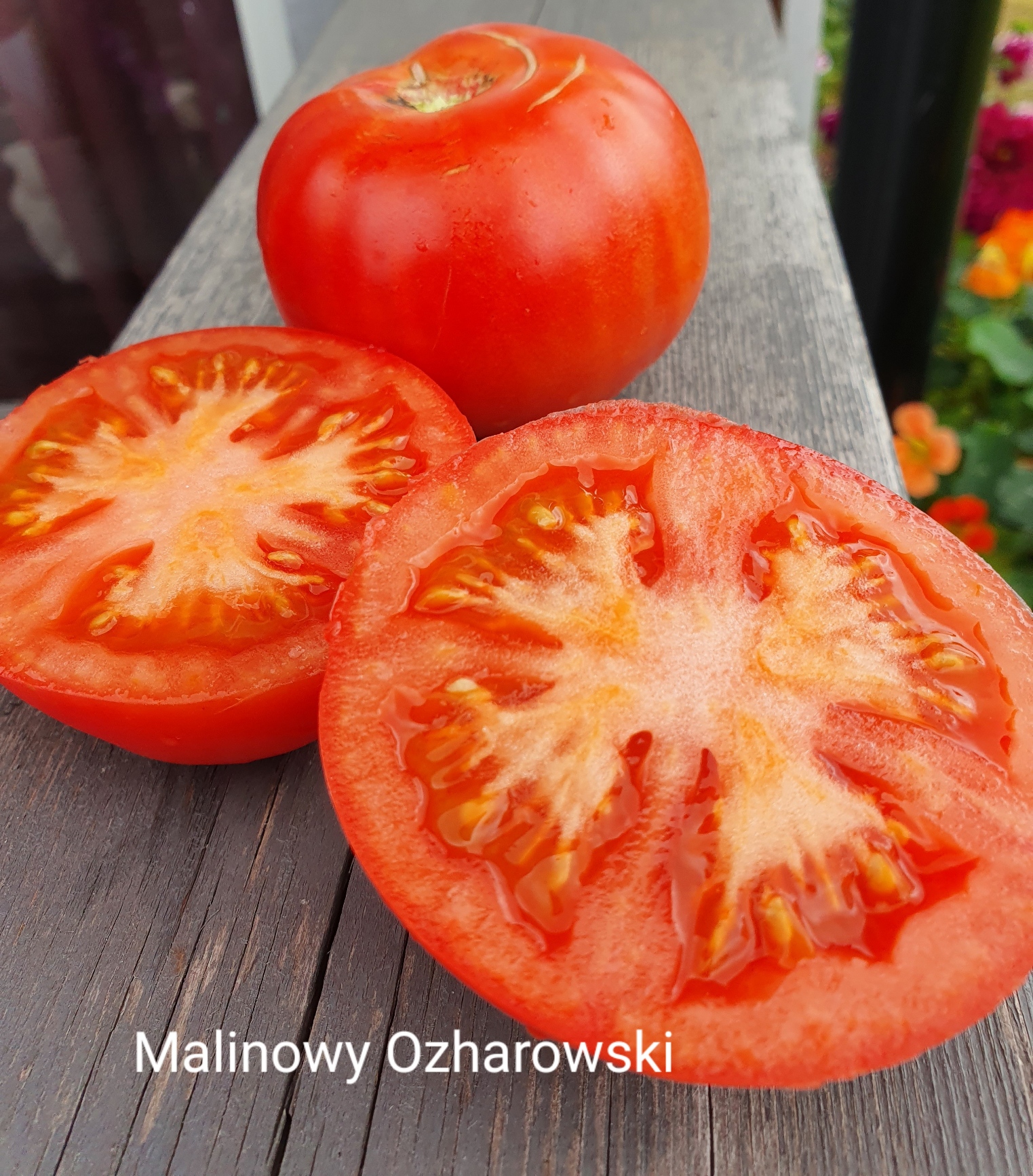 Malinowy Ozarowski – Tanja's lille hage