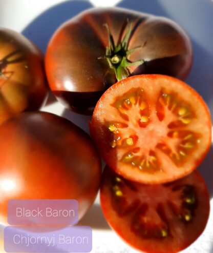 Black Baron